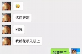 鄂州企业清欠服务